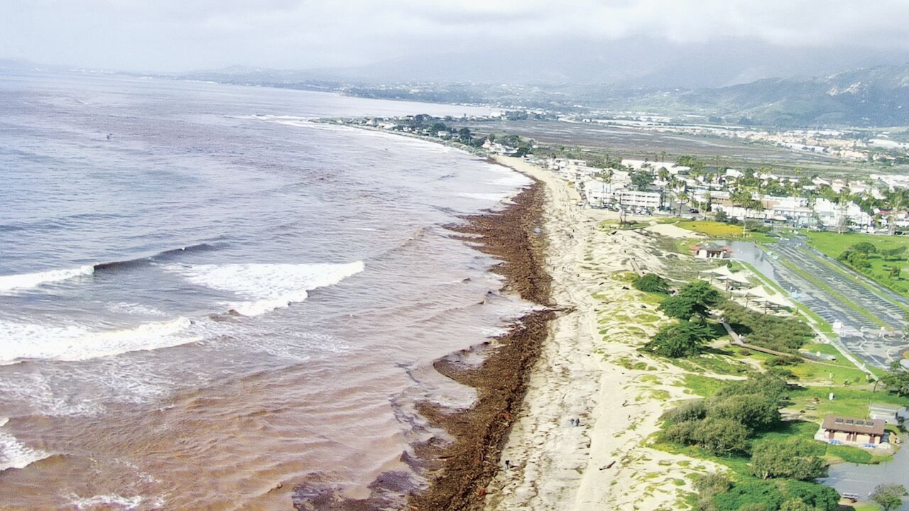 Carp Beach Drone